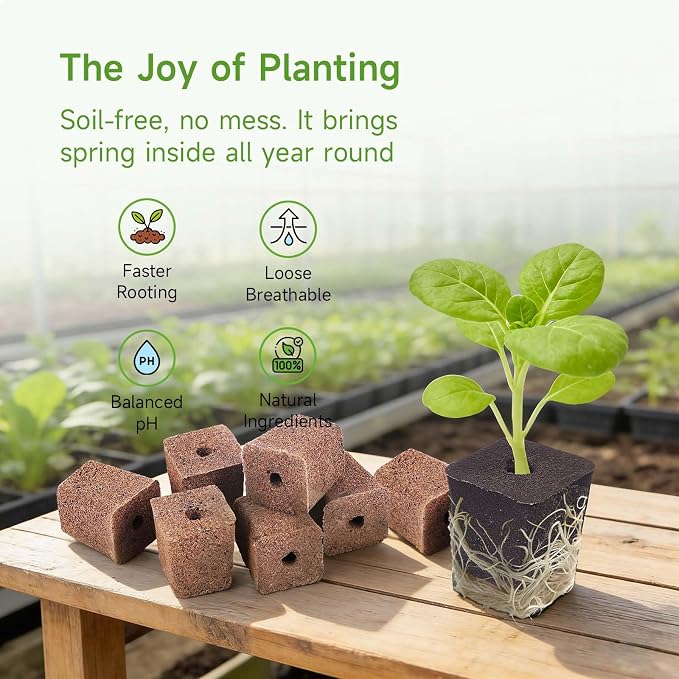 50 Pack Grow Sponges Square Sponge Replacement Part Seedling Starter Sponges for Hydroponic Indoor Garden System Cuttage Rooting Germination Kits