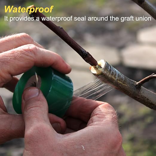 HARFINGTON 4 Rolls Fruit Tree Grafting Tape 2CM x 100M PE Stretchable Garden Grafting Tool Plants Self Adhesive Floristry Film for Floral Tree and Poly Budding, Green