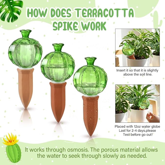 Teenyyou 3 Set Glass Self Watering Globes with Terracotta Self Watering Spike 12 oz Large Glass Waterer Bulbs Automatic Water Planter Insert Plant Water Device for Indoor Outdoor Plant(Green,Cactus)