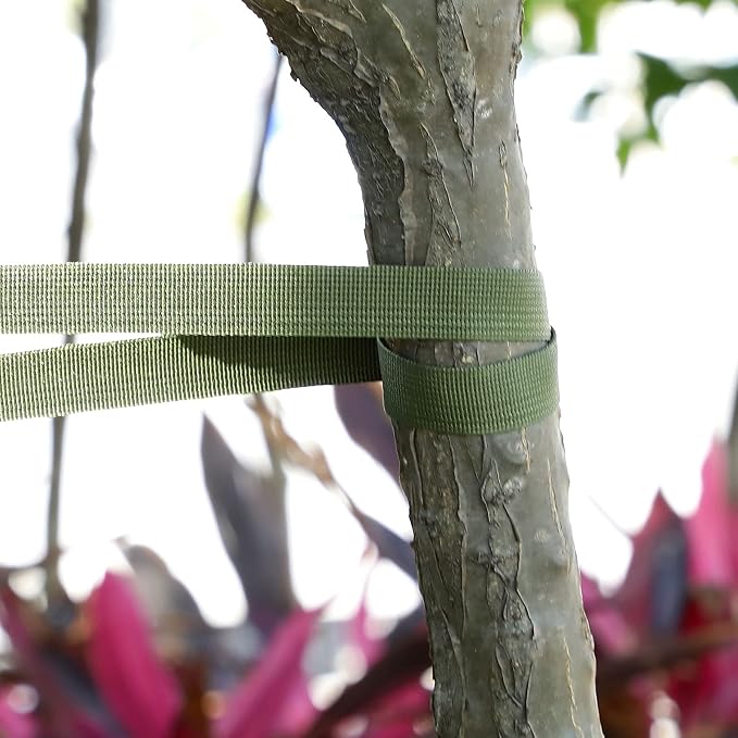 Shappy Tree Tie Strap Garden Webbing Strap Garden Plant Supports Tree Tie Staking and Guying for Outdoor Use, Plant Supports, Grafting, Straightening Supplies(Olivine,295 Feet x 1 Inch)