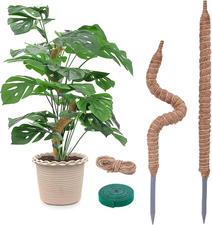 2 Pack 24 Inch Coco Coir Moss Poles for Climbing Indoor Plants - Handmade Plant Support for Creepers to Grow Upwards