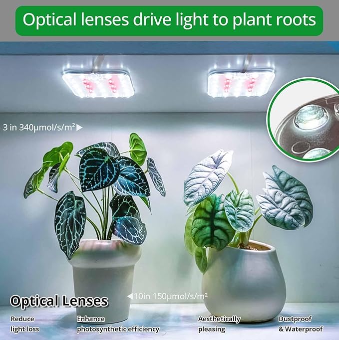 Full Spectrum LED Grow Light for Indoor Plants, 2 Panels 10W with 6/12/16h Timer Dimmable Plant Lights for Flower Veg Plant Growth USB, Daylight White, 1-Pack