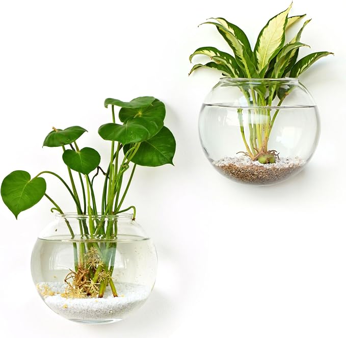 DomeStar 2PCS Wall Flower Vases, Wall Hanging Glass Planter Propagation Station Mounted Vases for Hydroponics Plants Propagation Living Room Office Home Decor (5 inch)
