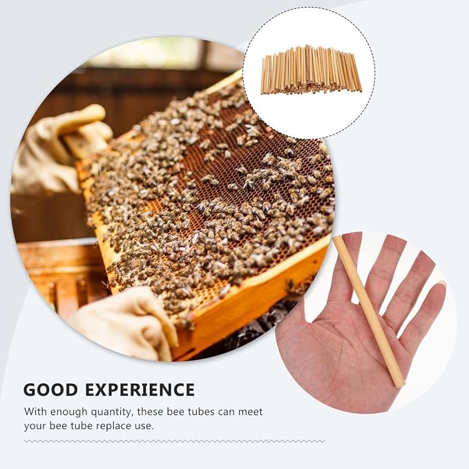 Garneck 300Pcs Natural Reed Bee Tubes 15cm Hollow Stems for Bee Nesting Pollination (0.5-0.8cm Diameter)
