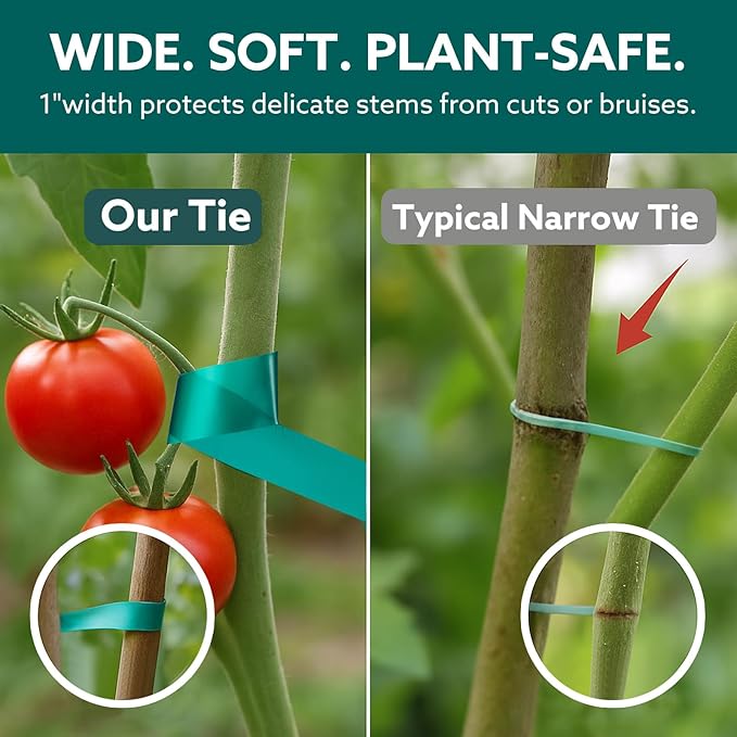 Plant Tie Tape, 1 in x 197 ft Stretchable Green Garden Tape for Plants, Soft Non-Adhesive PVC Plant Ties for Tomatoes, Grapes, Vines, Trees, Branches & Climbing Plants, 2 Rolls