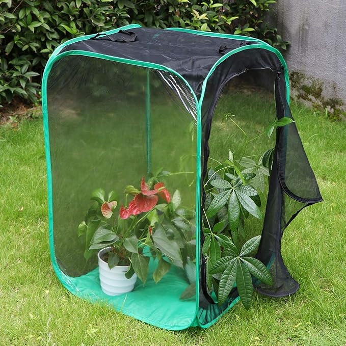 RESTCLOUD 36" Large Monarch Butterfly Habitat, Giant Collapsible Insect Mesh Cage Terrarium Pop-up 24 x 24 x 36 Inches
