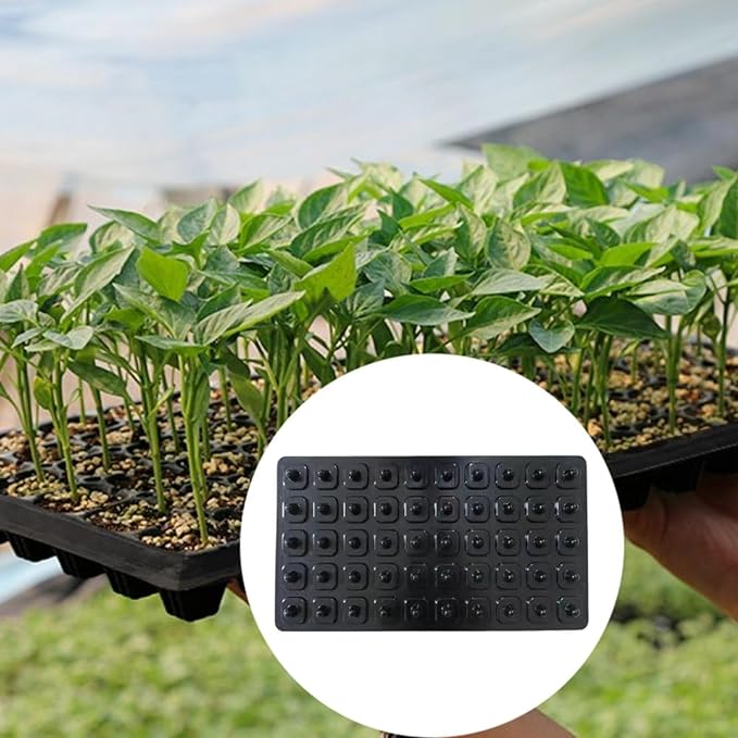 Seed Dibber Seedling Tray Tool Labor Saving Gardener Gift with Handle Garden Tool Quickly Setting Out Seed Spacer Soil Digger 50 Hole(50 Hole)
