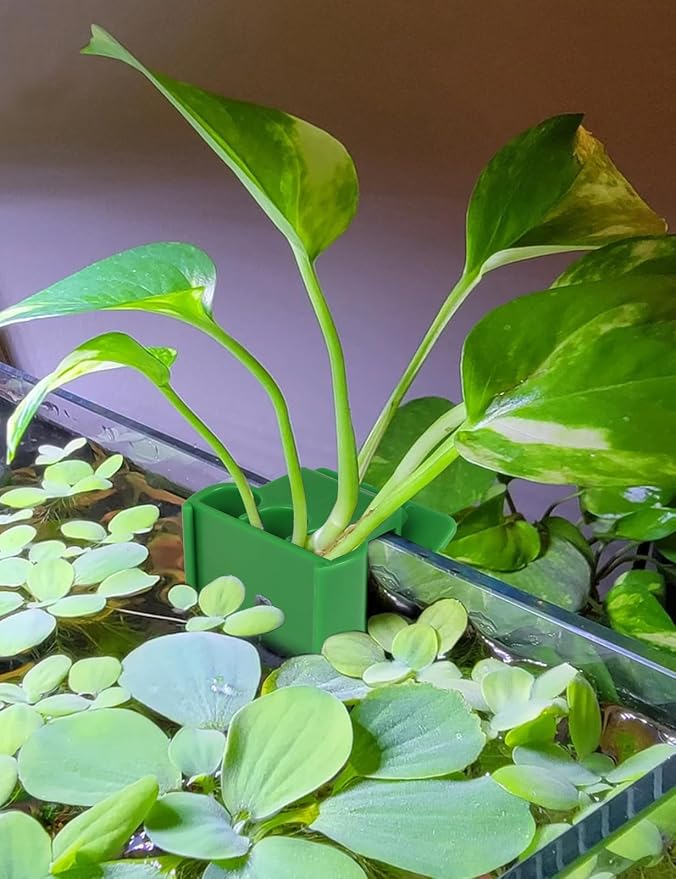 2 Pk Upgraded Aquarium Plant Holder, 3-Hole Hanging Holder with Clip, Suitable for Fish Tank Decoration, Green