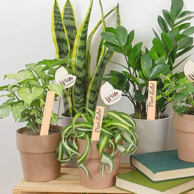 Zkptops 50Pcs Wooden Plant Labels Plant Tags 6 Inch Garden Plants Markers Waterproof Seed Labels Markers Sticks Outdoor Garden Label Stakes Sign Wooden Plants Name Tags for Seedling Vegetables Flower