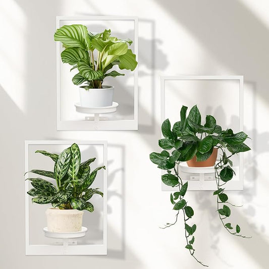 Hanging Planters for Indoor Plants White, Wall Plant Holder Stand to Hold Large Pots - Premium Metal Wall Planters for Indoor Outdoor Decor