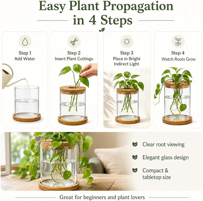 Glass Plant Propagation Stations, 2PCS Hydroponic Vases with Wooden Lid and Bamboo Stand for Plant Growing, Home & Office Decor
