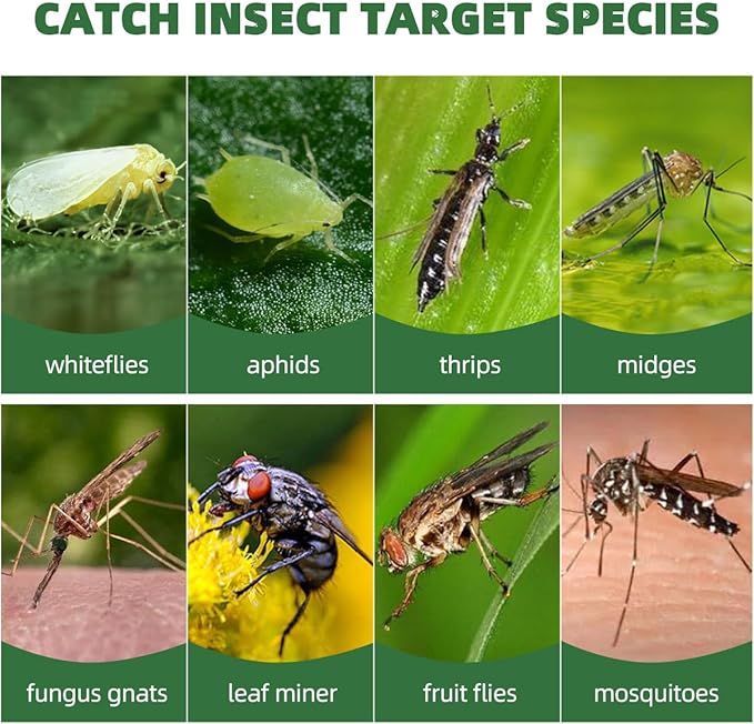 58 Pack Yellow Sticky Gnat Traps for Plants - Fungus Gnat Killer, Fruit Fly Traps for Indoors, Gnat Sticky Traps for Plants, Family Friendly Design, Ice Cream Shape