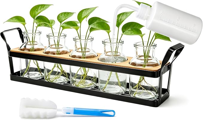 Salzesfalls Propagation Stations with Metal Stand,Plant Propagation Station & Vases,Table Top Plant Stand, 5 Glass Jars for Hydroponic Plant Propagation, Plant Lover Gifts