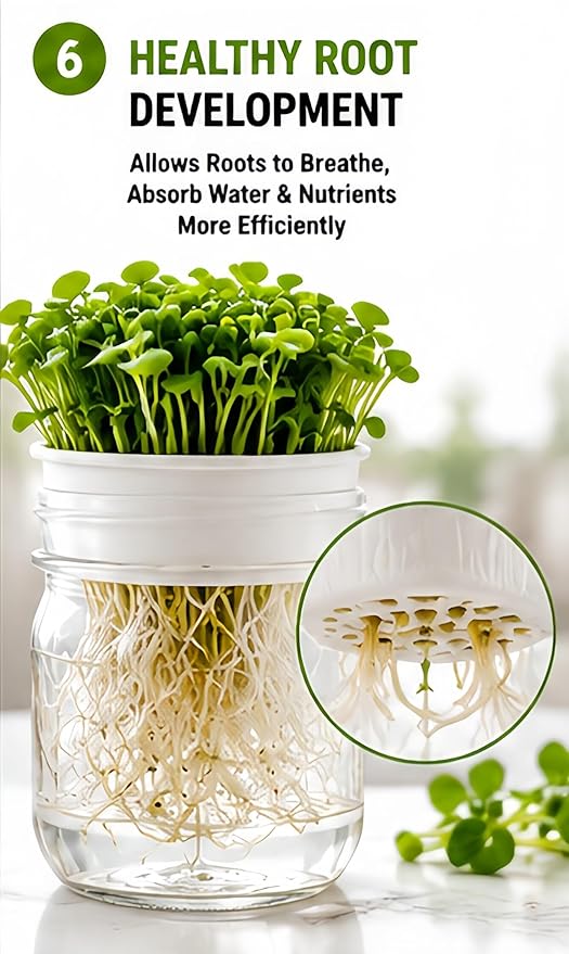 Microgreens Growing Kit for Mason Jar, Sprouting Lid and Seed Sprouter Kit, Easy Indoor Microgreens Grower for Kitchen Herb Gardening and Home Growing（8 Items）