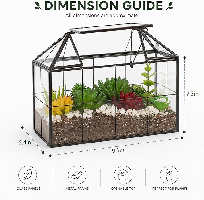 Ferrisland Glass Terrarium Greenhouse House Shape Display Box Planter for Succulents Plant Terrarium Container Mordern Tabletop Decor Gardern DIY Kit