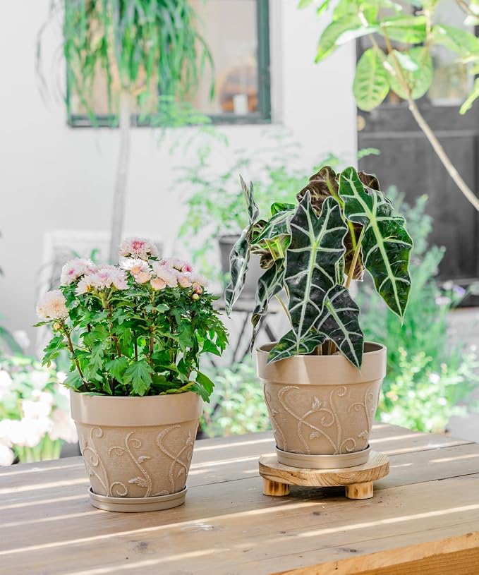 Melphoe Plastic Plant Pots Indoor with Drainage & Saucer, 2Pack 8 inch Flower Pots Outdoor Planters for Indoor Plants Garden Home Decor Cactus Succulent, (NOT-Terracotta) Vine-Embossed