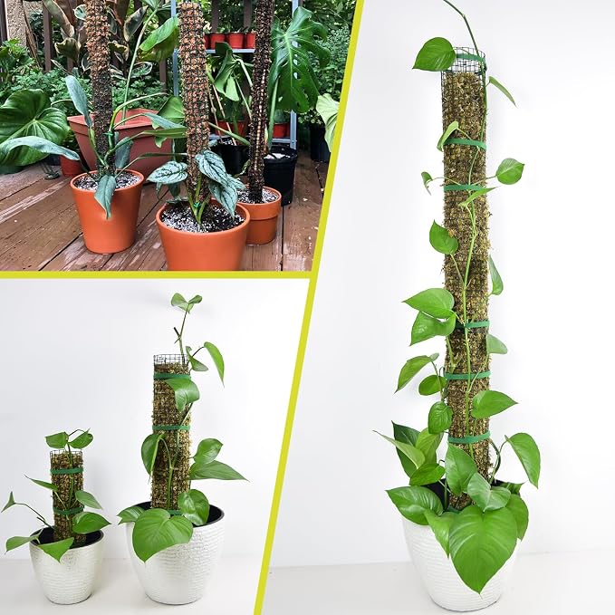 6 Pack Metal Moss Pole, 24" Moss Poles for Plants Monstera, Stackable Sphagnum Moss Pole for Plants Work with Sphagnum Moss(6 Pack 24")