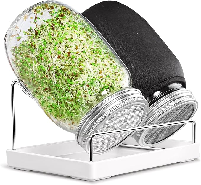 Seed Sprouting Jar Kit - 2 Wide Mouth Mason Jars with 316 Stainless Steel Sprouting Lids Covers, Drip Tray and Stand for Growing Broccoli Alfalfa Beans Sprout (Two Jars)