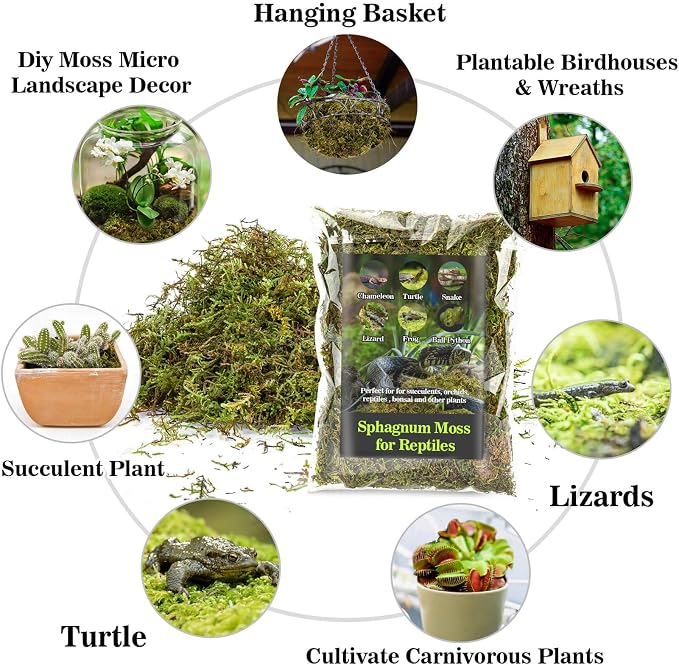 Sukh Sphagnum Moss for Reptiles - Terrarium Reptiles Moss Green Dried Peat Moss Habitat Bedding Moss for Snakes Turtle Frog Gecko and Other Reptiles Substrate (30, Ounces)