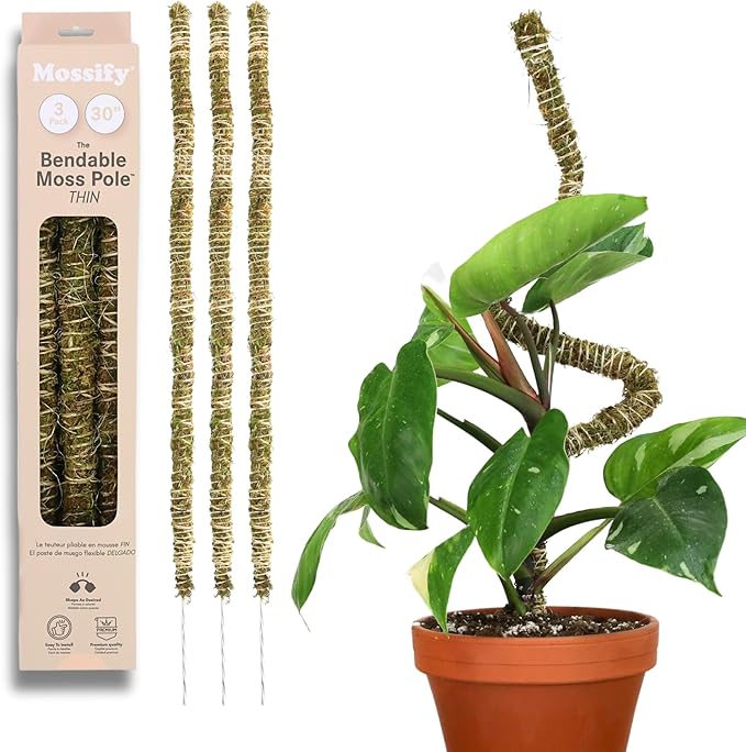 Mossify Bendable Moss Pole 3 Pack 30'', Monstera Plant Support - Natural Forest Moss Poles for Climbing Plants - Flexible & Thin Plant Sticks for Monstera Support - Indoor & Outdoor Plants Mosses Pole