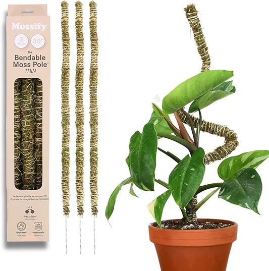 Mossify Bendable Moss Pole 3 Pack 30'', Monstera Plant Support - Natural Forest Moss Poles for Climbing Plants - Flexible & Thin Plant Sticks for Monstera Support - Indoor & Outdoor Plants Mosses Pole