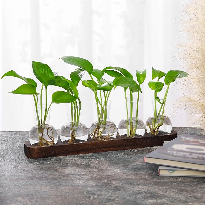 YIBOT Propagation Vases for Plants Terrarium with Wooden Tray,5 Glass Vases | Tabletop Plant Terrarium for Propagating Hydroponic, Retro Glass Planter Flower Vase Home Kitchen Office Decor Gifts