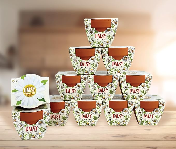 BUZZY Seeds Daydream Daisy Grow Kit 12-Pack - Mini Terracotta Pot Grow Set - Complete Indoor/Outdoor Gardening Kit with Seeds, Coconut Husk Growing Medium & Genuine Pots - 100% Grow Guarantee