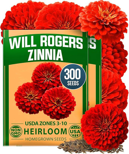HOME GROWN Will Rogers Zinnia Seeds - 300 Zinnia Flower Seeds for Planting Outdoors - Tall Zinnia Elegans Cut Flowers - Heirloom Non-GMO Zinnia Seeds for 2026 (Zinnia Elegans)