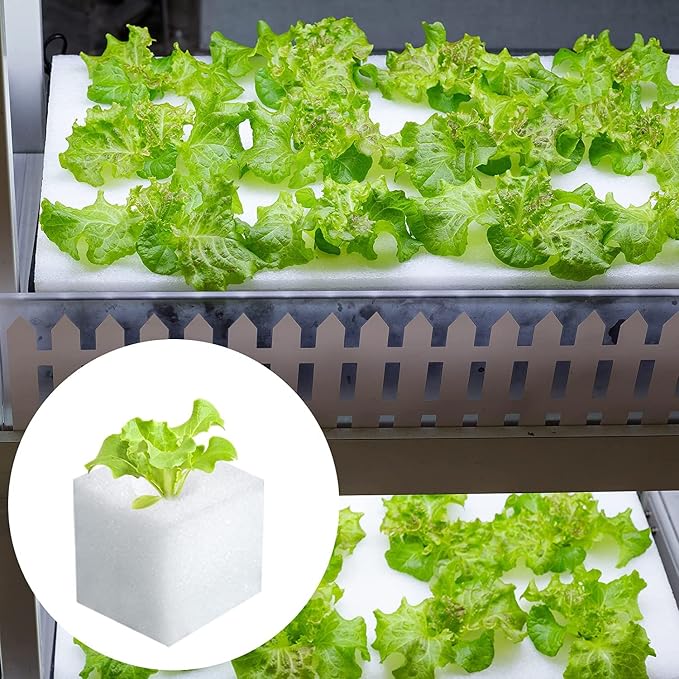 600 Pcs Hydroponic Sponges Planting Gardening Tool Soilless Cultivation Seedling Sponges Cultivation Sponge Greenhouse for Small Bud Growth & Grow Seedlings
