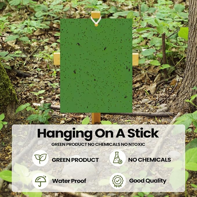 Qualirey 150 Pcs Green 6 x 8 Inch Sticky Traps for Gnats Dual Sided Fruit Fly Sticky Traps for Indoor and Outdoor Plant with Twist Ties and Plastic Holders for Fungus Gnats, Bug, Flying Insect