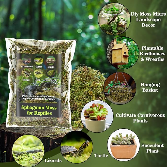 Sukh Sphagnum Moss for Reptiles - Terrarium Reptiles Moss Green Dried Peat Moss Habitat Bedding Moss for Snakes Turtle Frog Gecko and Other Reptiles Substrate (15.8, Ounces)