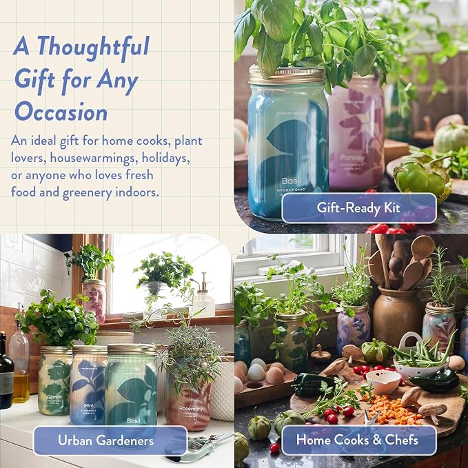 Modern Sprout Mason Garden Jar - Self-Watering Hydroponics Growing System Kit with Organic Herb Seeds - Jar Planter for Indoor Herb Garden - Seed Starter Kit - Home Decor - Gift for Mother's Day -Mint