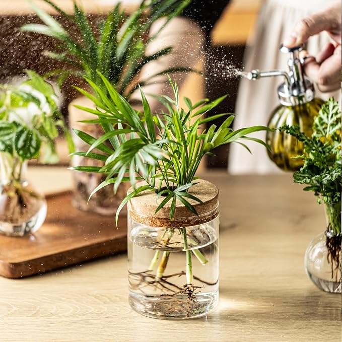 Plant Propagation Stations, 2 Style Glass Planter Terrariums, Propagation Vases for Plant, Plant Propagation Jars for Hydroponic Planter Home Office Tabletop Decoration (12)