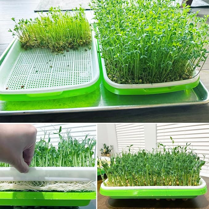 10 Pack 12.6 x 10 x 4.8 inch Microgreens Growing Trays with Lids, BPA-Free Sprouting Trays, Germination Tray for Beans, Wheatgrass & Microgreens, Home, Kitchen & Garden