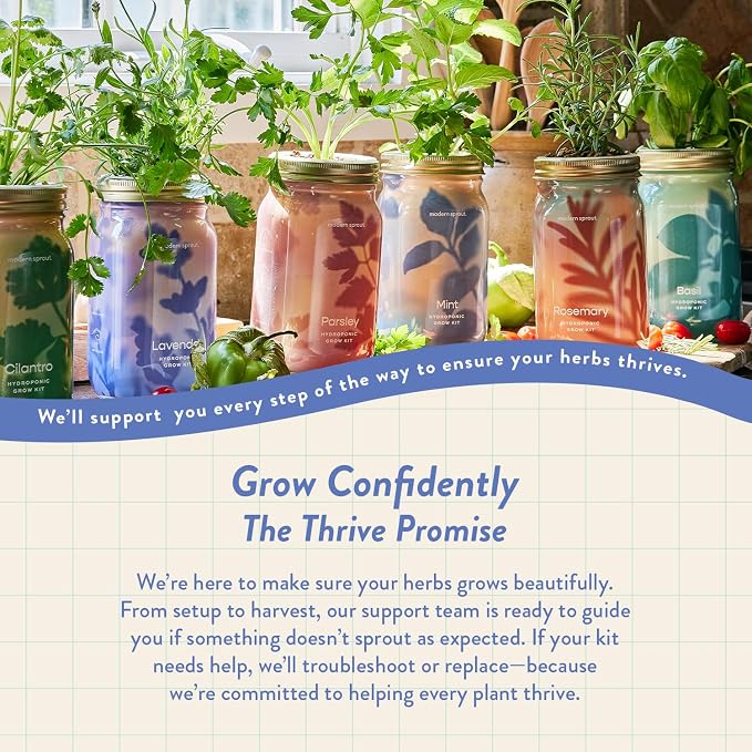 Modern Sprout Mason Garden Jar - Self-Watering Hydroponics Growing System Kit with Organic Herb Seeds - Jar Planter for Indoor Herb Garden - Seed Starter Kit - Home Decor - Gift for Mother's Day -Mint