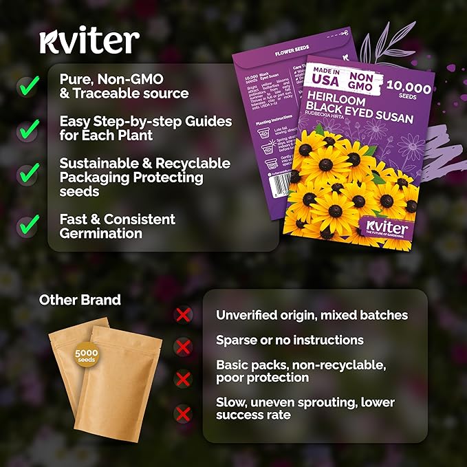 KVITER 10,000 Black Eyed Susan Seeds for Planting (Rudbeckia hirta) – Gloriosa Daisy Wildflower Seed, Heirloom, Non-GMO – Flower Seeds to Plant Outside & Inside, Borders, Containers