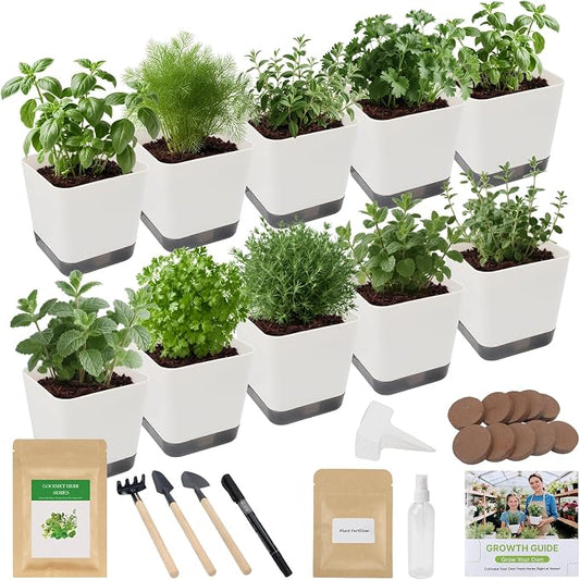 10-Set Indoor Herb Garden Starter Kit, 7 Seeds Growing into Basil, Parsley, Thyme, Mint, Cilantro, Dill, Oregano Including 10 White Pots, Markers, Nutritional Soil, Ideal Christmas Gifts for Women