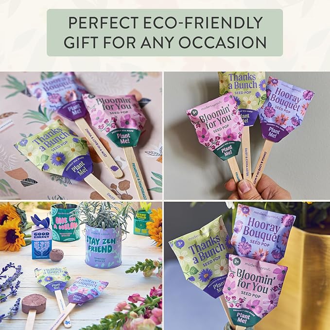 Modern Sprout Seed Pops - Gifts for Plant Lovers & Kids - Organic Non-GMO Hooray Bouquet Bloomin' for You & Thanks-a-Bunch Wildflower Seeds - Spring Activity for Kids - Ideal for Indoor & Outdoor-12pk