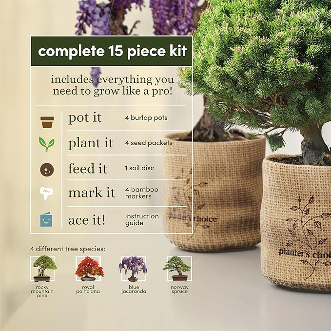 Planter's Choice Bonsai Tree Kit for Beginners & Plant Lovers - Grow Your Own Bonsai from Seed, 4 Species Starter Kit with Burlap Pots, Shears, Soil Disc, Markers & Guide, Gift for Mom or Grandma