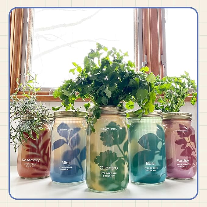 Modern Sprout Mason Garden Jar - Self-Watering Hydroponics Growing System Kit with Organic Herb Seeds - Jar Planter for Indoor Herb Garden - Seed Starter Kit - Home Decor - Gift for Mother's Day -Mint