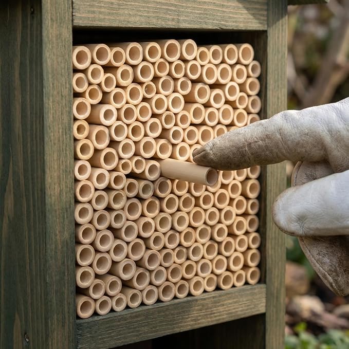 Mason Bee House Reed Nest Tubes Refill: 200PCS Mason Bee Nesting Reed Tubes Inserts Replacement Liners Hotel Box for Outdoor Beekeepers Solitary Bee Hive Supplies