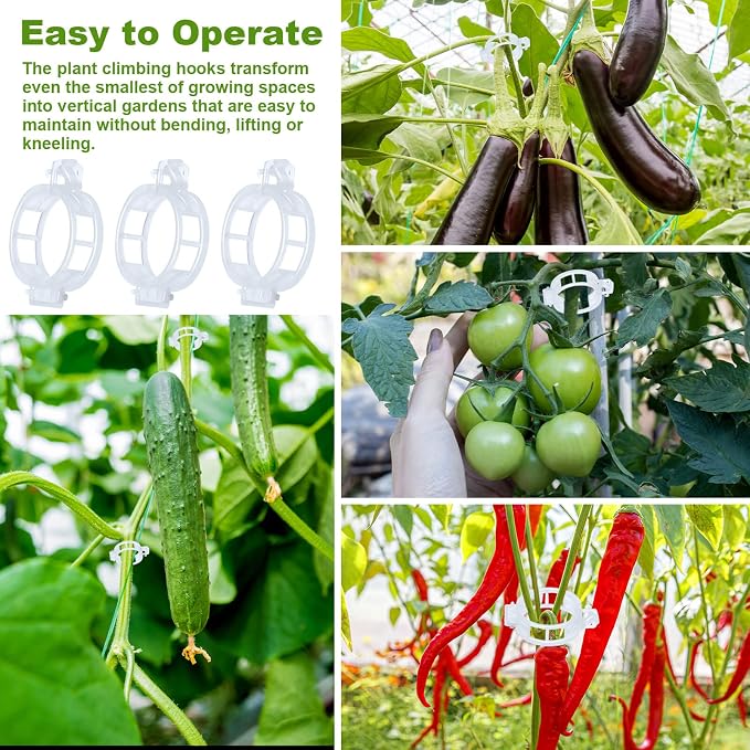 70Pcs Tomato Hooks with String, Tomato Support Hooks, Tomato Holder Hooks & Plant Support Clips with 33.3ft Twine to Prevent Tomatoes from Pinching or Falling Off