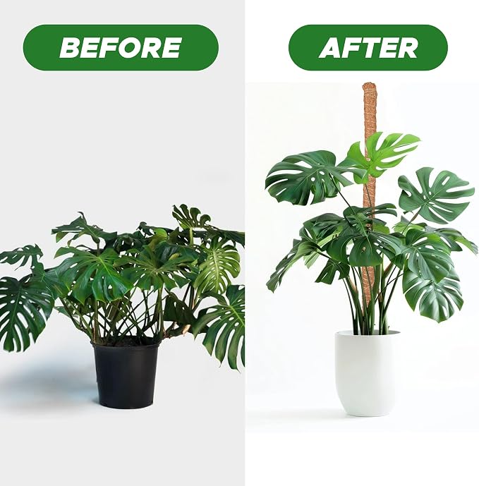 EcoNour 2 Pack Moss Poles for Plants – 28" Monstera Plant Support Stakes, Coir Plant Sticks for Indoor Climbing Plants, Pothos, Philodendron & Houseplants