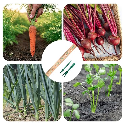 Spacer Tool Seeder Planting Ruler, Wooden Plant Ruler with Precise Measurements,Seedlings Dibber Hand Transplanting Tools,for Vegetable Gardens, Yard