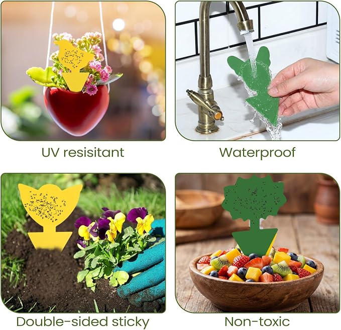 Qualirey 50 Sheets Fruit Fly Sticky Traps for Fruit Fly Gnat Trap for House Indoors Sticky Traps Catcher for Gnats Fungus Gnats Mosquito Catcher Kitchen Outdoor Plants(Classic Style, Yellow, Green)