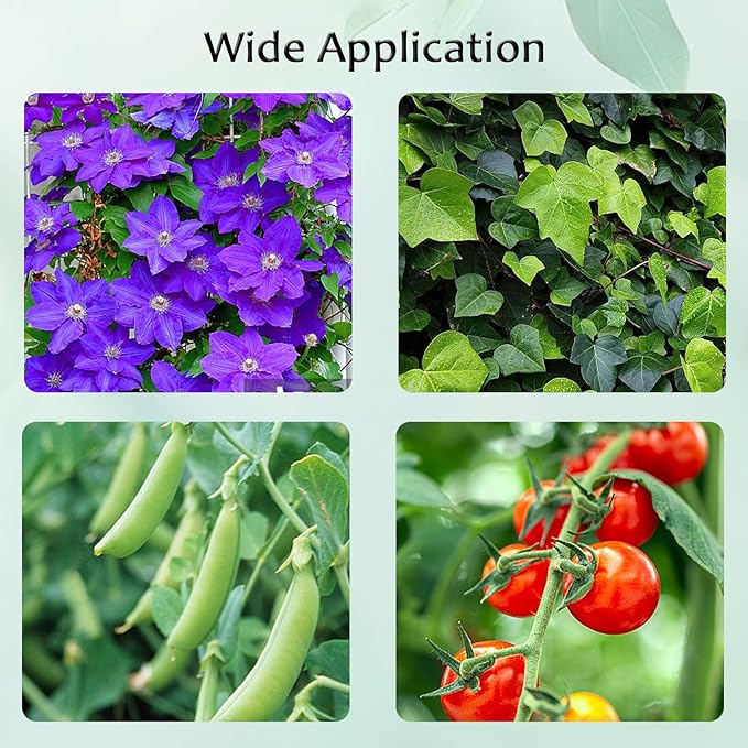 Garden Trellis for Climbing Plants, 2Pack-Plant Trellis, 2 in 1 Rustproof Metal Pipe with Plastic Coated, 4Ft Plant Support for Potted Plant Outdoor Indoor, Tomato Cages & Supports for Vines