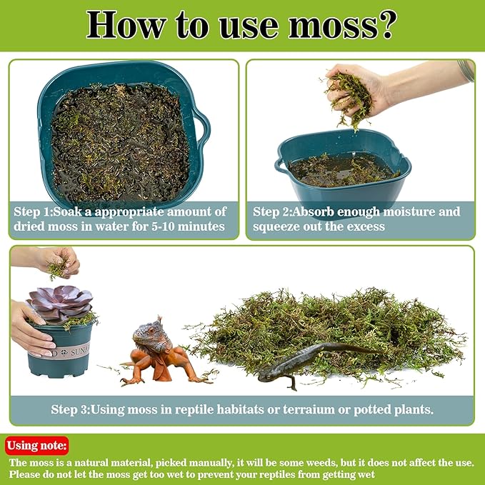 Sukh Sphagnum Moss for Reptiles - Terrarium Reptiles Moss Green Dried Peat Moss Habitat Bedding Moss for Snakes Turtle Frog Gecko and Other Reptiles Substrate (15.8, Ounces)