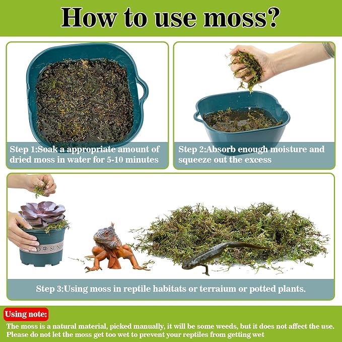 Sukh Sphagnum Moss for Reptiles - Terrarium Reptiles Moss Green Dried Peat Moss Habitat Bedding Moss for Snakes Turtle Frog Gecko and Other Reptiles Substrate (30, Ounces)