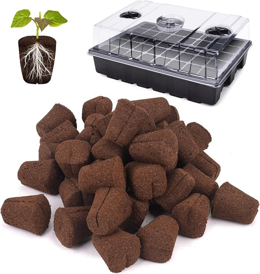 40 Pcs Grow Sponges with Tray, Plant Starter Plugs for Cuttings, Great for Soil, Tray or Planting Pods Plant Rooter, Promotes Herbs, Vegetables and Flowers Growth