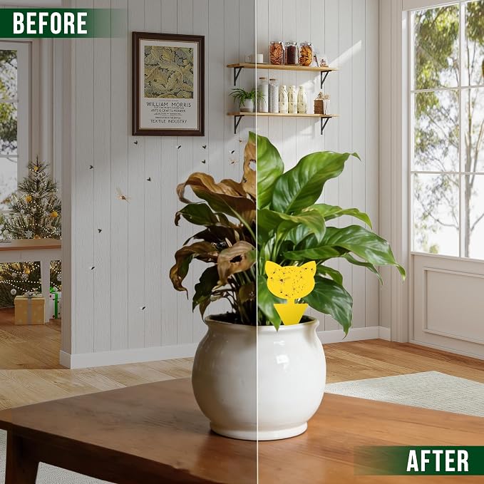 Garsum Gnat Killer Indoor Fruit Fly Traps Yellow Sticky Plants Bug Fungus Fly Catcher Outdoor,36 Pack